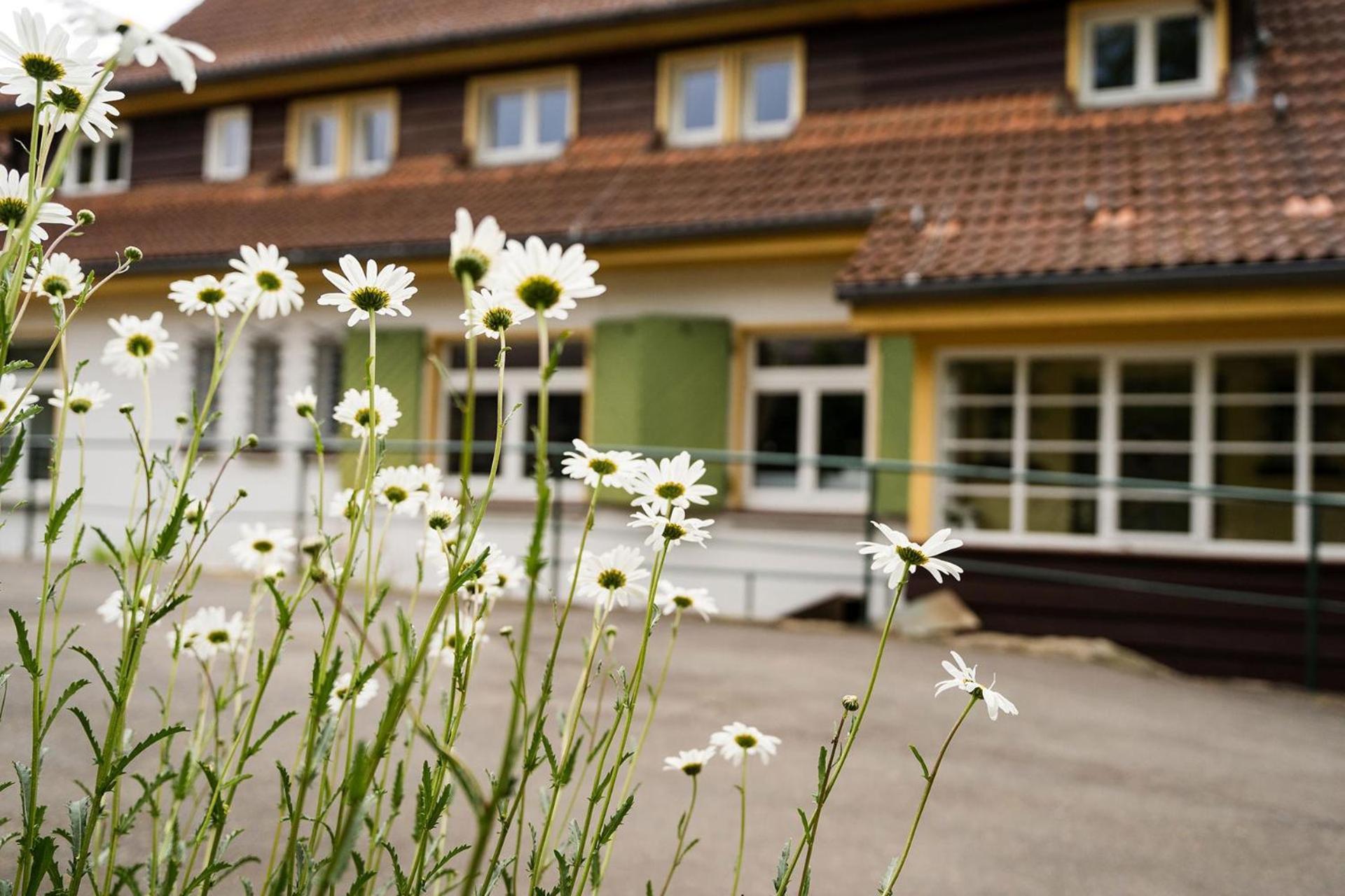Pension Zum Hexenstieg Schierke Exteriér fotografie